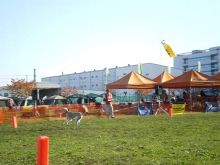 f0140069_20231334.jpg