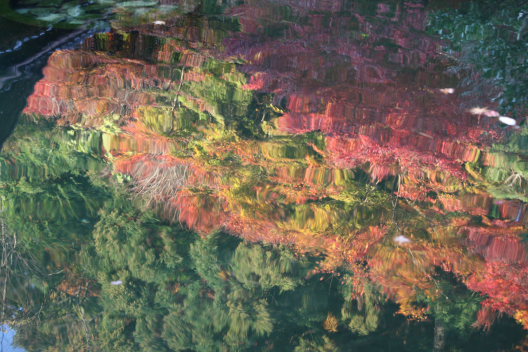 b0055171_20585616.jpg