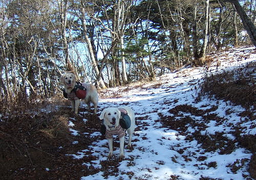 三ツ峠山（その１）　１２月１日（月）_b0136381_13545517.jpg