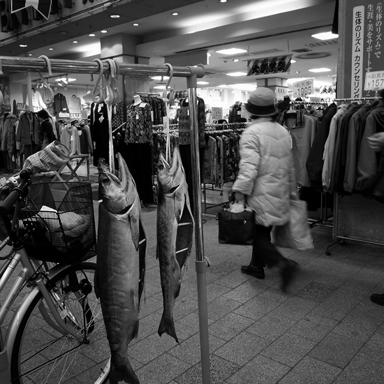 時代おくれ_e0082981_237102.jpg