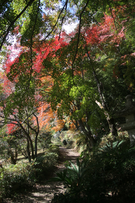 飯能　竹寺・・・秋_e0027083_23231265.jpg