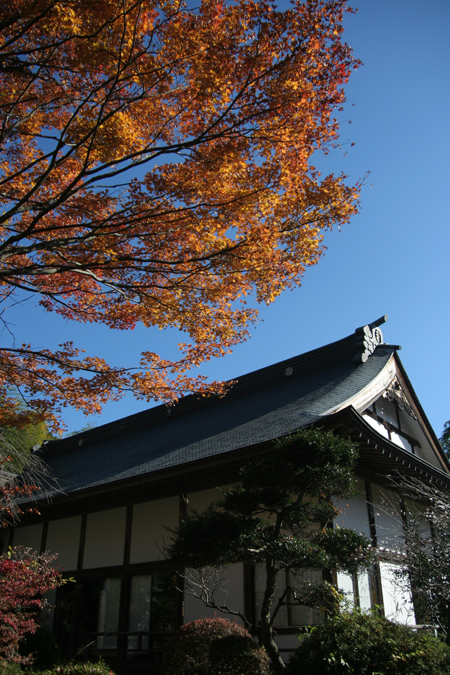 飯能　竹寺・・・秋_e0027083_236596.jpg