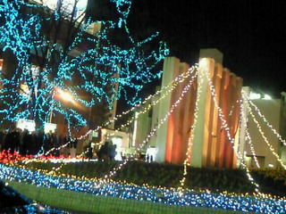 e0017290_23561234.jpg
