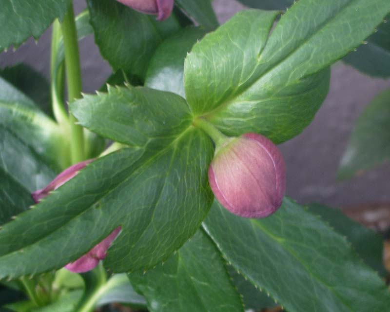 e0129991_9341451.jpg