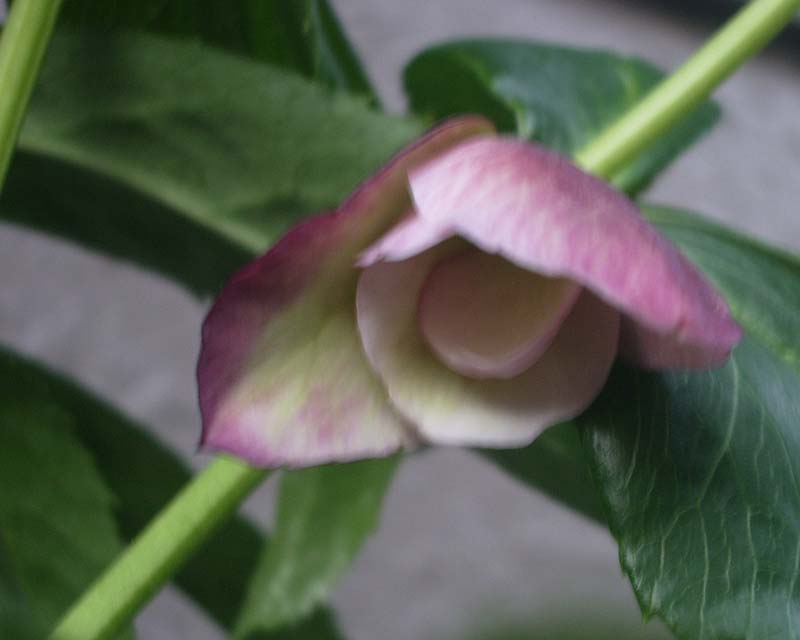 e0129991_939480.jpg