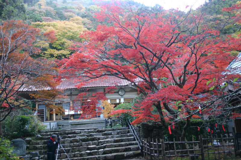 湖東三山・湖北のもみじ_e0149891_2159364.jpg