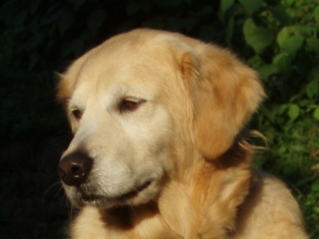 f0181295_14341515.jpg