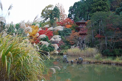 浄瑠璃寺・中山寺_c0124100_1734286.jpg