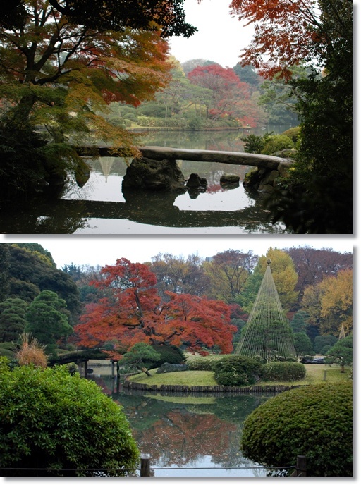 紅葉の六義園へ_c0051105_23185699.jpg