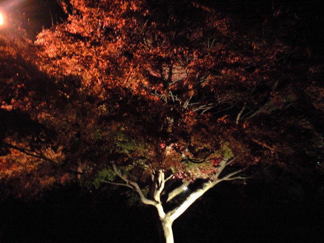 b0076307_23455245.jpg