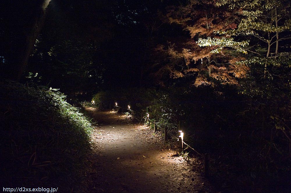 Light-up@六義園 #1_c0108409_21172511.jpg