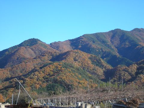 d0115409_0481119.jpg