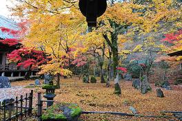 太宰府の紅葉 2008_a0042310_19312728.jpg