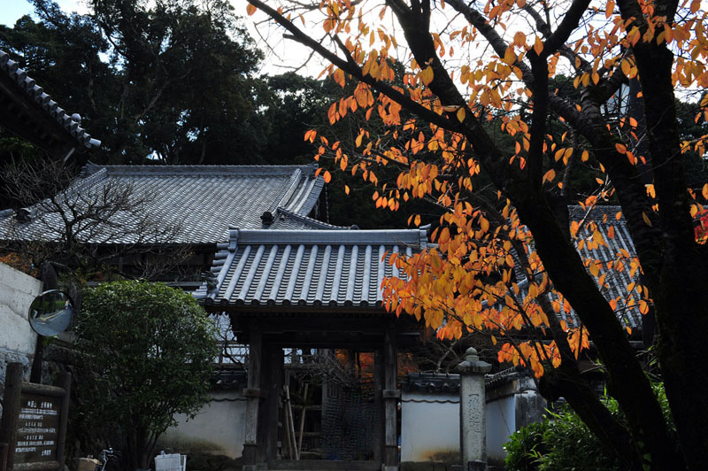 太宰府の紅葉 2008_a0042310_19473925.jpg