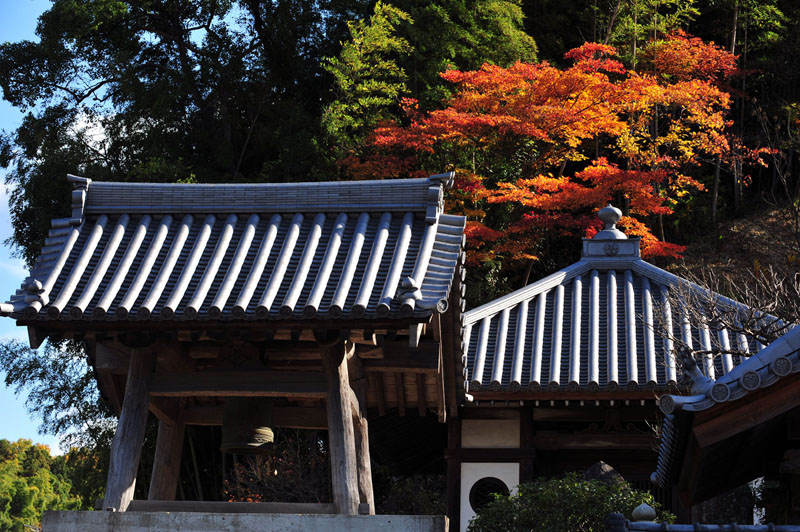 太宰府の紅葉 2008_a0042310_19561010.jpg