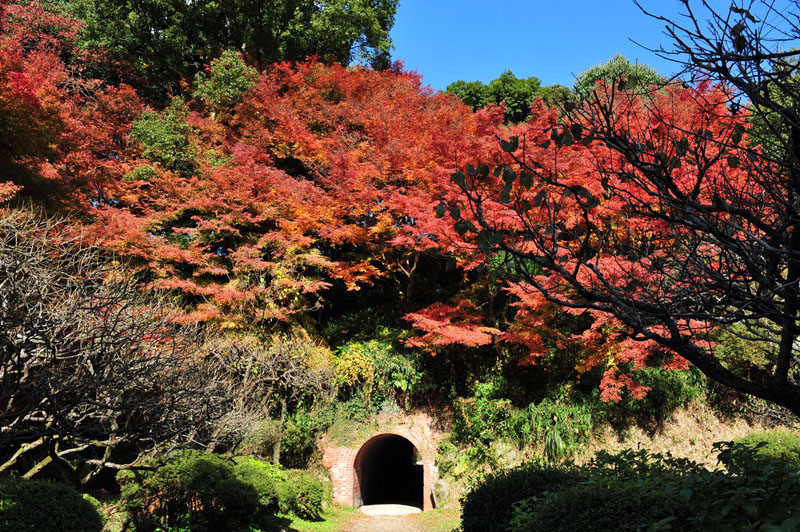 太宰府の紅葉 2008_a0042310_20164063.jpg