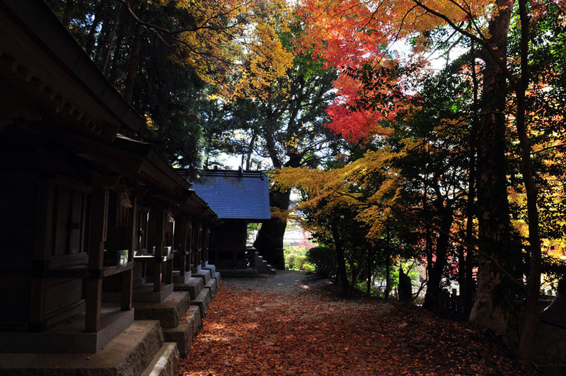 太宰府の紅葉 2008_a0042310_20195585.jpg