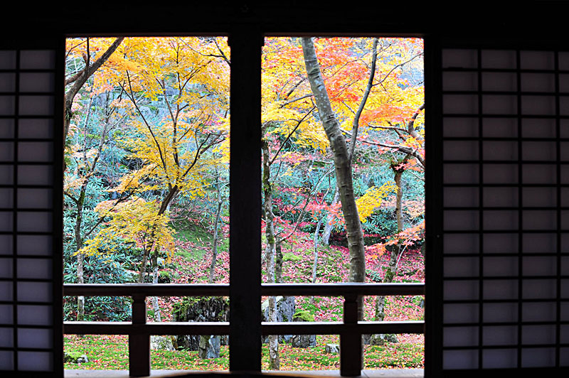 太宰府の紅葉 2008_a0042310_2043411.jpg