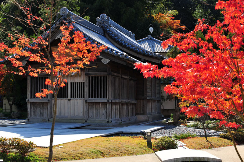 太宰府の紅葉 2008_a0042310_2065583.jpg