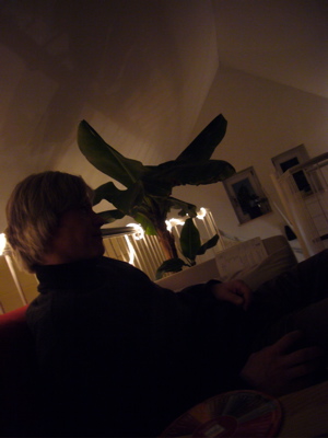 c0167813_7231922.jpg