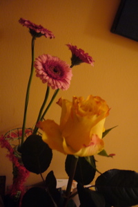 c0167813_835225.jpg