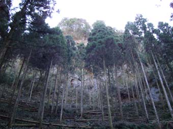 c0125114_015891.jpg