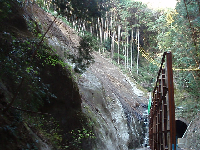 e0105019_1663015.jpg
