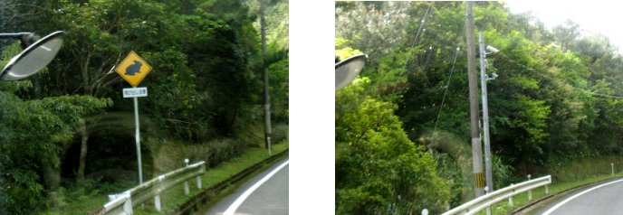 c0051620_652216.jpg