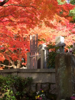 そうだ、やっぱり京都に行こう1　-石峯寺-_e0008223_2283522.jpg