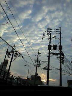 c0047024_1534399.jpg