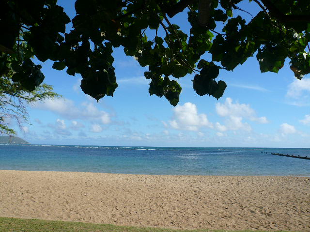 f0178525_1334636.jpg
