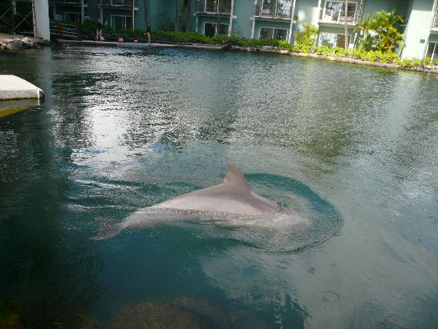 f0178525_13363559.jpg