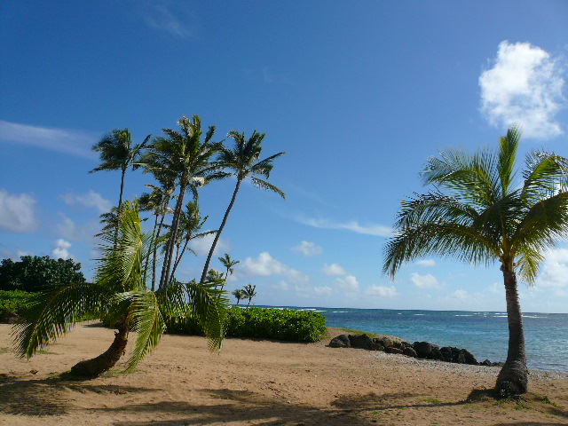 f0178525_1340870.jpg
