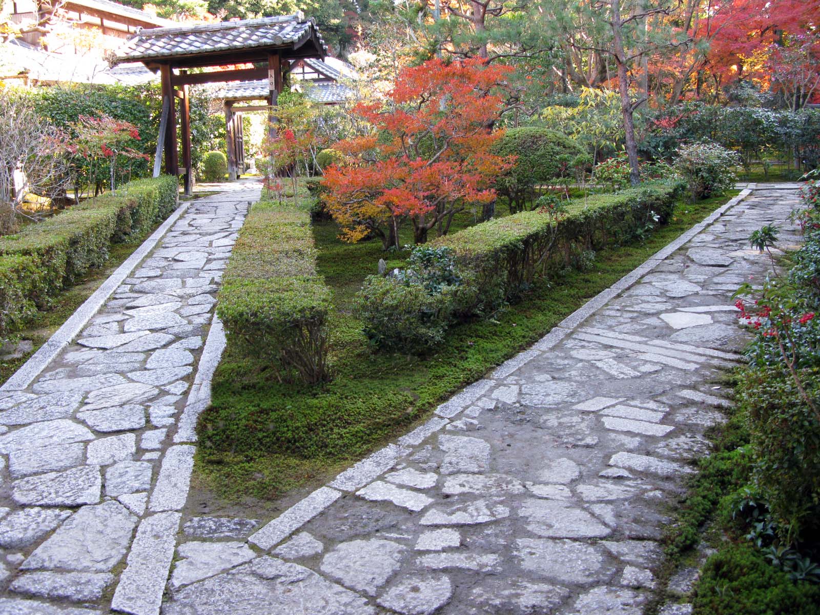 紅葉狩り 2_f0129726_2042914.jpg