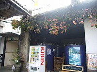 d0086228_1693340.jpg