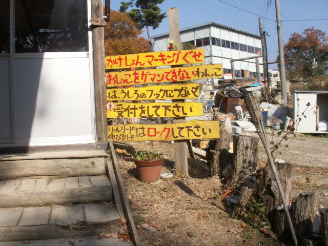 b0127531_1946218.jpg