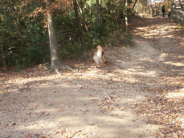 b0127531_19553052.jpg