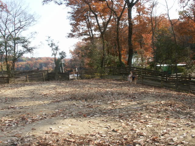 b0127531_2016219.jpg