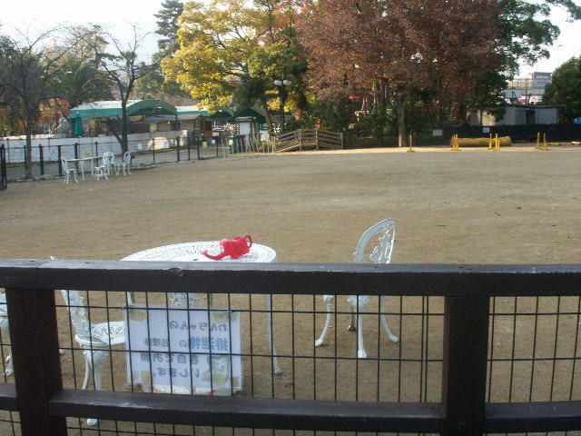 b0127531_20274715.jpg