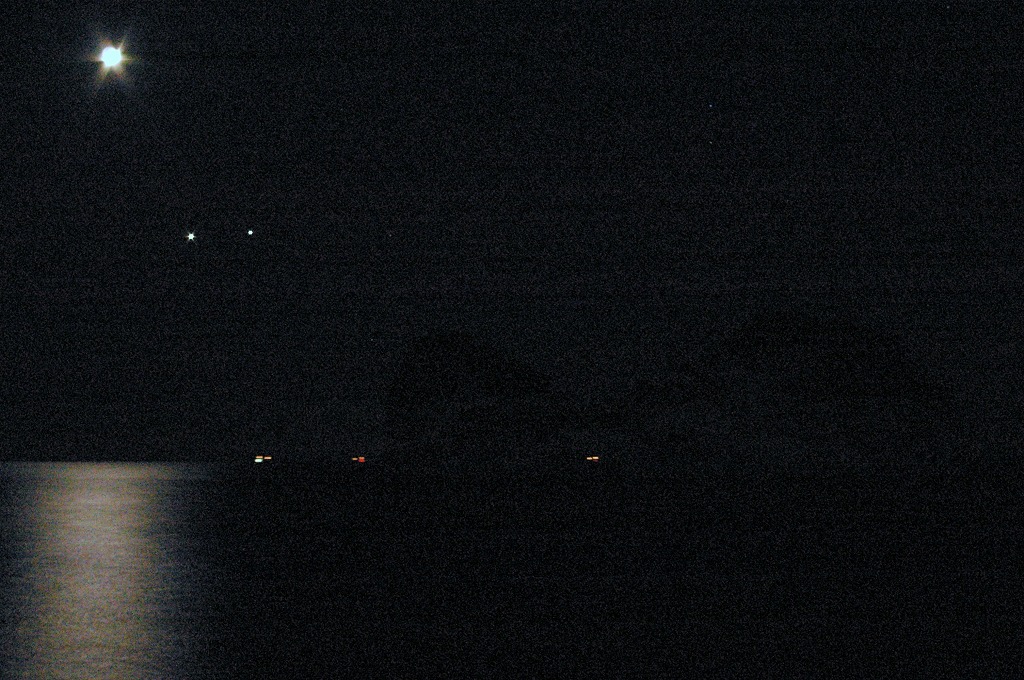 c0106831_54198.jpg