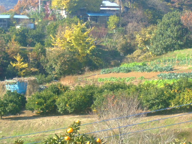 b0137932_22403155.jpg