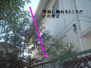 f0031037_20162872.jpg