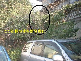 f0031037_20173124.jpg