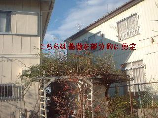 f0031037_20174699.jpg