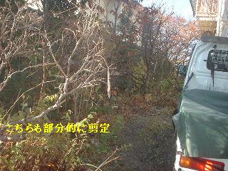 f0031037_20175890.jpg