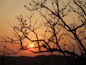 a0054240_1781856.jpg