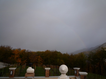 arcobaleno(虹)_d0136540_3145940.jpg