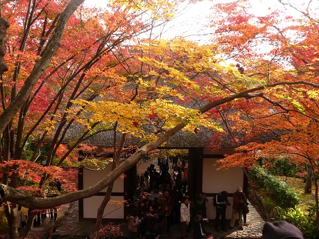 常寂光寺の紅葉_c0057946_2216775.jpg