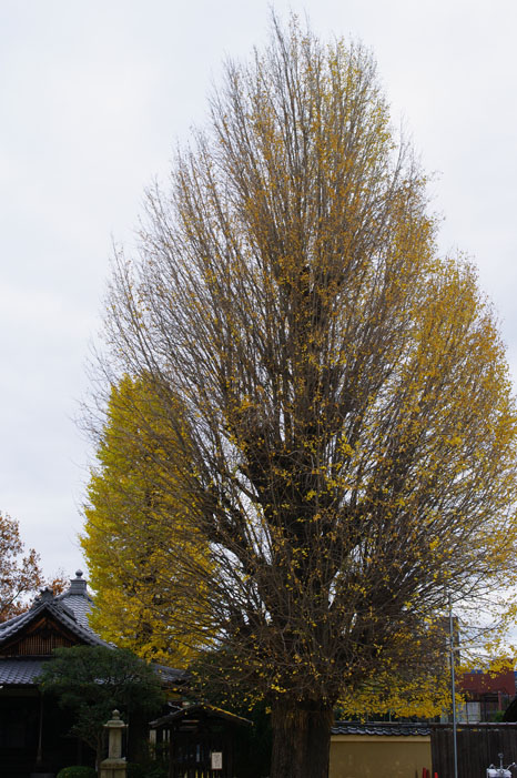 f0152550_2216376.jpg