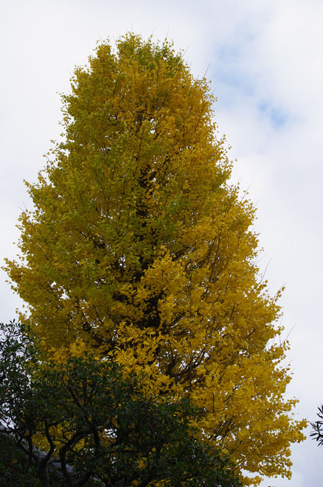f0152550_22175544.jpg